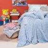 Κουβερτα Monh Starito Silver 160x220