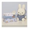 Καλαθι Αποθηκευσης σχ 41ι Γαλαζιο 25x15x13 Ύψος Oliver Baby