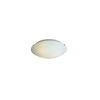 15536-YM-2 SEHER GLASS, CEILING Β3