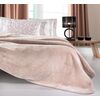 Βελουτέ Κουβέρτα Logo Pudra 160x220 guy Laroche  100% Polyester