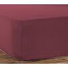 Σεντόνι mονό Με Λάστιχο Μεμονωμένο 100x200+30cm Βαμβάκι nef-nef jersey/ bordeaux 016711