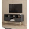 Bodo Έπιπλο Τηλεόρασης με 2 Συρτάρια 117x39x60,8εκ. Γκρι