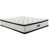 En14 Diamond Super Plus Coco