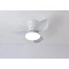 Se led f65 Adam White fan 30w*2 Smart With Control 65x65x20cm 3000k-6500k 85-265v 2 Years Warra