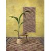 Χαλάκι 60x130 - Besida Mustard Beige Nima Home