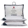 GREENWICH POLO CLUB ΜΑΞΙΛΑΡΙ ΠΟΥΠΟΥΛΕΝΙΟ 50Χ70 ESSENTIAL 2304 WHITE