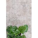 Χαλί Madisson 36a Grey Royal Carpet