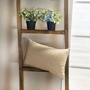 Μαξιλαροθήκη Avellino 14 - 30x50cm με Γέμιση