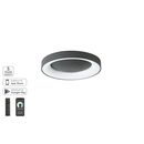 Se led Smart 60 Amaya Ceiling Black δ3