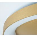 Se led 80 Amaya Ceiling Brushed Gold δ3