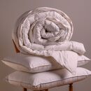 Παπλωμα 260χ240 Βαμβακερο Percale 300 gsm