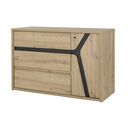 Alana Συρταριέρα με 3 Συρτάρια και 1 Πόρτα 117x47x76εκ. Artisan oak / Black Thread