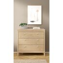 Madrid Συρταριέρα με 3 Συρτάρια 82,3x38,4x79,7εκ. Jackson Hickory