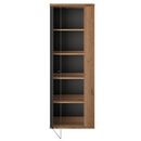 Otello Βιτρίνα με μία Πόρτα 64x45x178εκ. Helvezia oak / Μαύρο