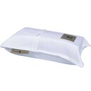 Σεντόνι Υπέρδιπλο Με Λάστιχο 160x200+35cm greenwich polo club cozy-bedroom collection 2251 100% sati