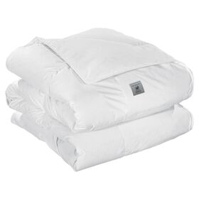Πάπλωμα Standard 160x220 guy Laroche  100% Cotton Fabric/ 80% Down -20% Feather Filling