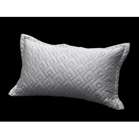 Διακοσμητικό Μαξιλάρι Conte Silver 30x50 guy Laroche  100% Microsatin