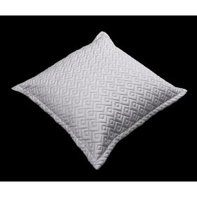 Διακοσμητικό Μαξιλάρι Conte Silver 45x45 guy Laroche  100% Microsatin