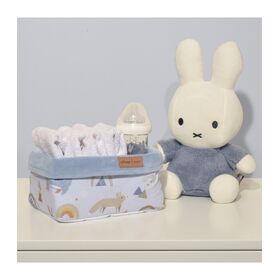 Καλαθι Αποθηκευσης σχ 41ι Γαλαζιο 25x15x13 Ύψος Oliver Baby