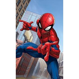Πετσέτα Βελουτέ 30x50 Spiderman 40