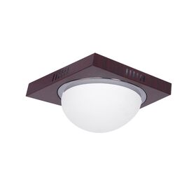 3081F Φ24 TECO COL/ION,NICKEL MAT-CHROME CEILING Β4