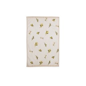ΠΟΤΗΡΟΠΑΝΟ ΒΕΛΟΥΤΕ OLIVE 40Χ60 NEF-NEF HOMEWARE