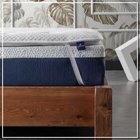 [Product / Title] το Ανώστρωμα Aloe Vera “soft Comfort» της Σειράς Sleep & bed Πάχους 7 εκ Σχεδιάστηκε για Όλους Εσάς που Αναζητάτε μια Οικονομική και Υγιεινή Λύση για να Ανανεώσετε τον Ύπνο Σας. συνδυάζει Απόλυτα τις Ευεργετικές Ιδιότητες του Φυτού Aloe Vera (το Εξωτερικό Κάλυμμα Εμποτίζεται σε Εκχύλισμα του Φυτού) με την Εργονομική Σχεδίαση, για Έναν Απολαυστικό Ύπνο. δεν Επιτρέπει την Ανάπτυξη Μικροβίων και των Ακάρεων, Είναι ένα Οικολογικό, Υποαλλεργικό Προϊόν με Μαλακή και Δροσερή υφή Χαρίζοντας μια Εκπληκτική Αίσθηση Απαλότητας Κατά την Διάρκεια του Ύπνου. προσφέρει μια Εξαιρετική Σχέση Ποιότητας – Τιμής Καθώς Μπορείτε να Αποκτήσετε την Αίσθηση του Καινούργιου Στρώματος, Χωρίς Όμως να Χρειαστεί να Αντικαταστήσετε το Παλιό σας Στρώμα