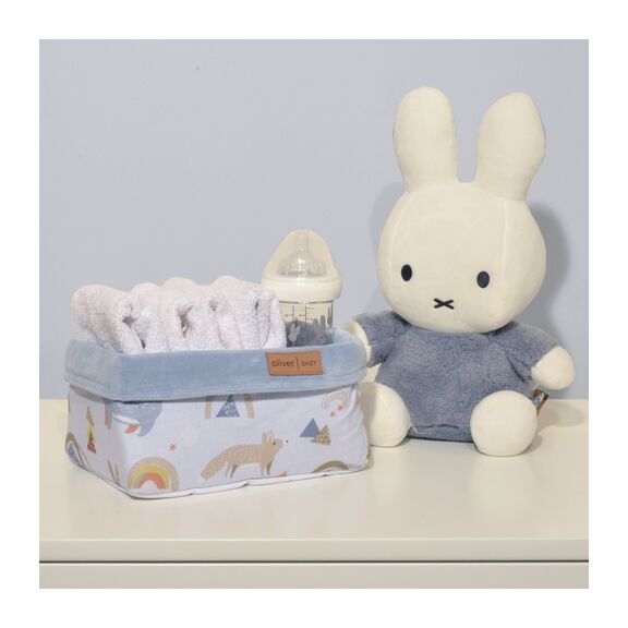 Καλαθι Αποθηκευσης σχ 41ι Γαλαζιο 25x15x13 Ύψος Oliver Baby