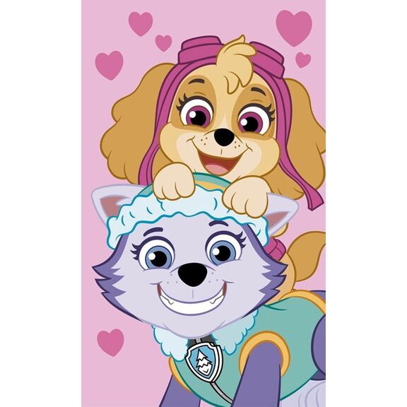 Πετσέτα Βελουτέ 30x50 paw Patrol 41
