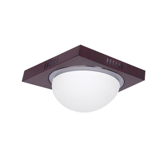 3081F Φ24 TECO COL/ION,NICKEL MAT-CHROME CEILING Β4