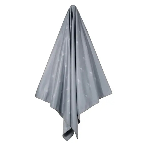 Greenwich Polo Club Πετσετα Θαλασσης 80χ170 4031 Grey